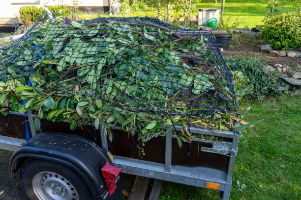 Best Shed Removal  in Jasonville, IN